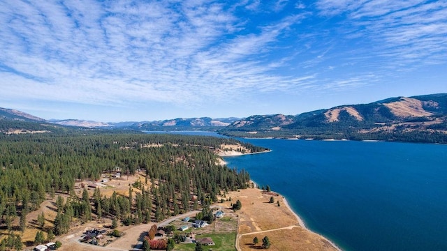 birds eye view of property featuring a water and mountain view