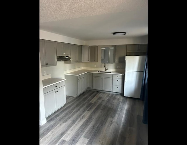 kitchen featuring sink, a textured ceiling, gray cabinets, dark hardwood / wood-style floors, and white fridge