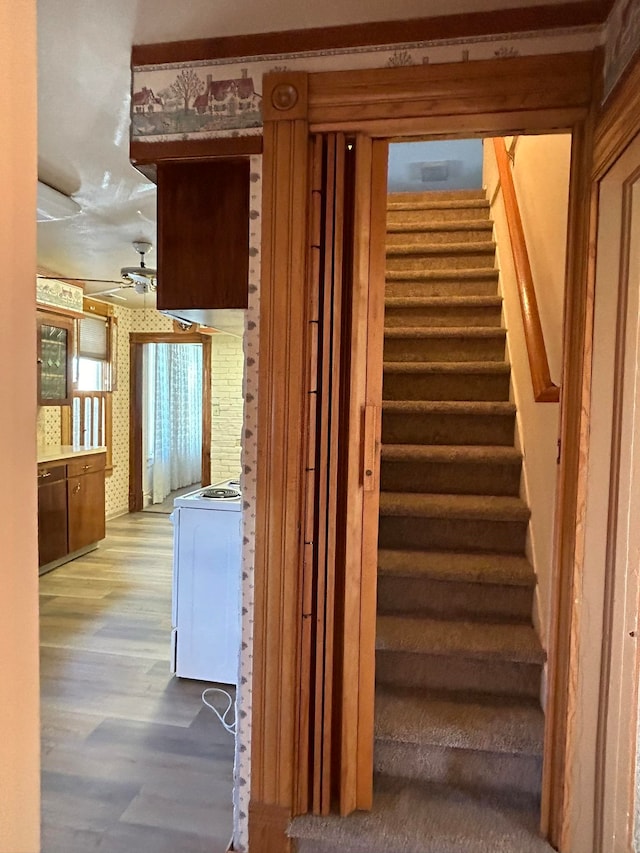 stairs featuring ceiling fan and hardwood / wood-style flooring