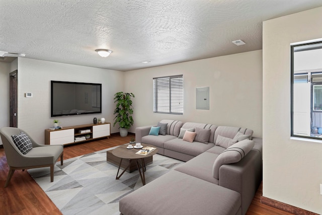 living room featuring light wood-type flooring, a healthy amount of sunlight, and electric panel