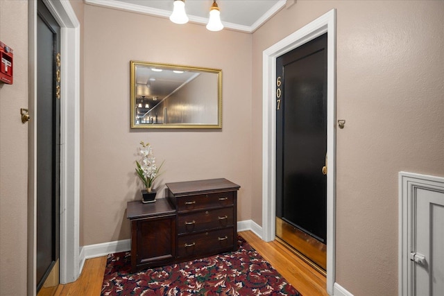 hall featuring crown molding and light hardwood / wood-style flooring