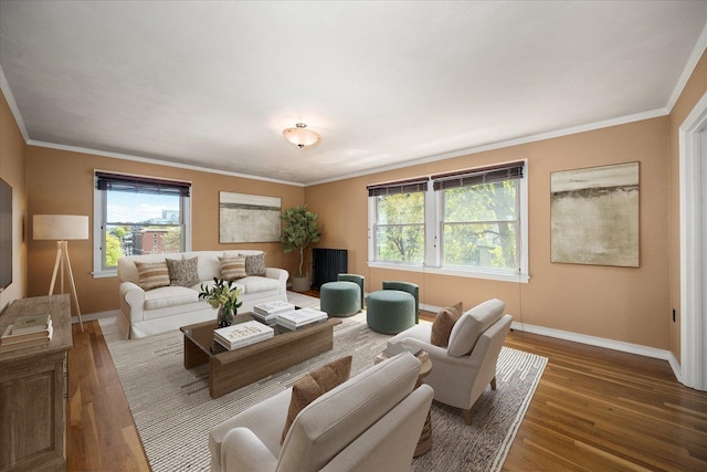 living room with ornamental molding and dark hardwood / wood-style floors