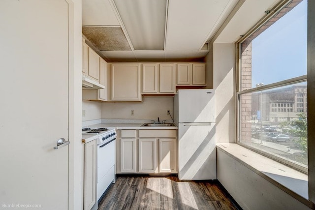 kitchen featuring sink, dark wood-type flooring, and white appliances