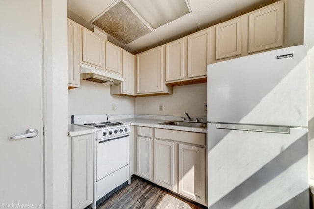 kitchen featuring white appliances, sink, and dark hardwood / wood-style floors