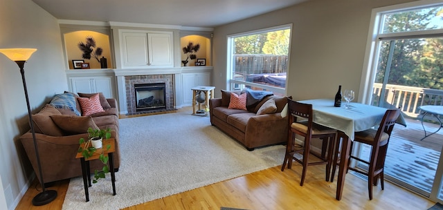 living room featuring a fireplace and light hardwood / wood-style floors