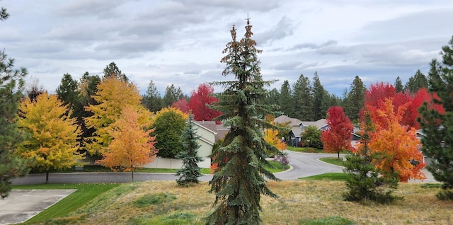 view of community featuring a yard