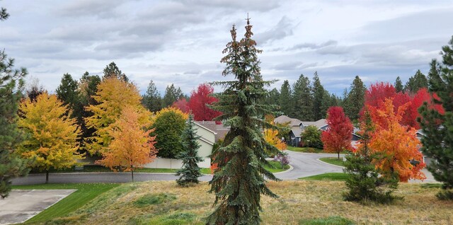 4304 S Vista Ct, Spokane, WA 99223 - photo 23