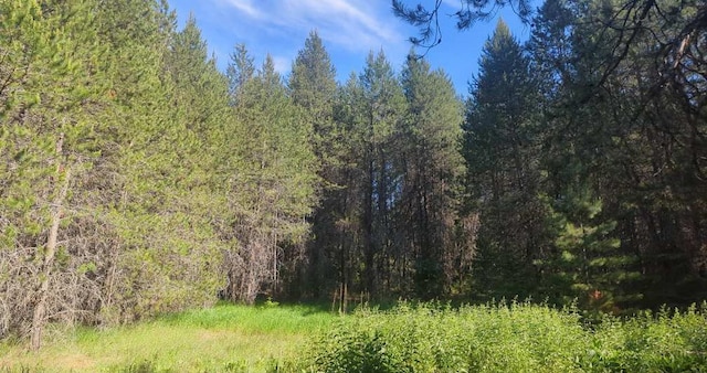 100 Duck Ln, Newport, WA 99156 - photo 1