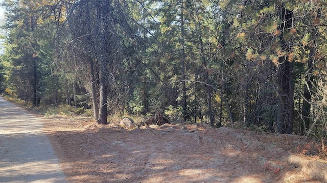 100 Duck Ln, Newport, WA 99156