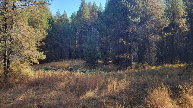 100 Duck Ln, Newport, WA 99156