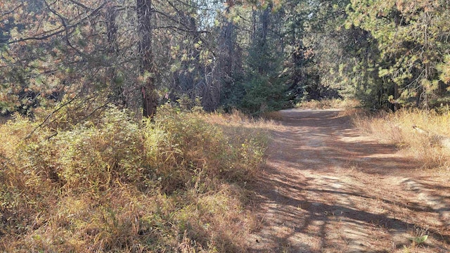 100 Duck Ln, Newport, WA 99156