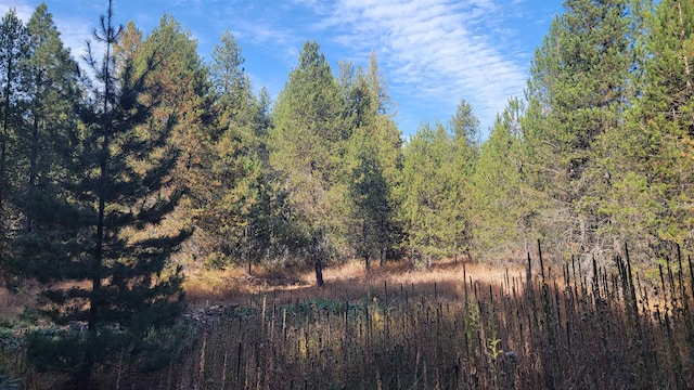 100 Duck Ln, Newport, WA 99156