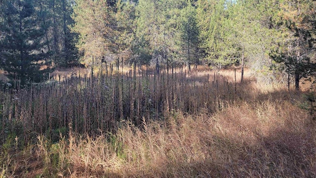 100 Duck Ln, Newport, WA 99156 - photo 28