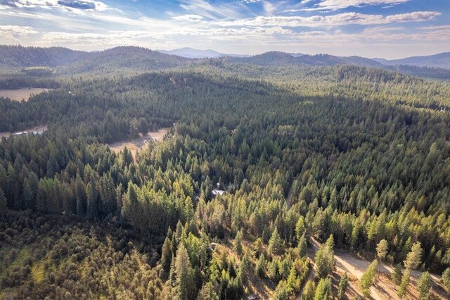 100 Duck Ln, Newport, WA 99156