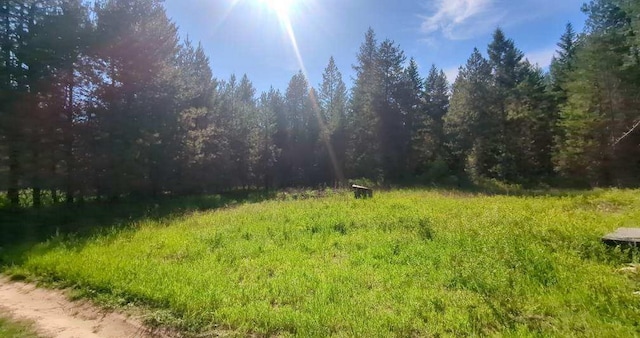 100 Duck Ln, Newport, WA 99156 - photo 5