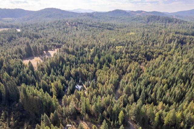 100 Duck Ln, Newport, WA 99156 - photo 7