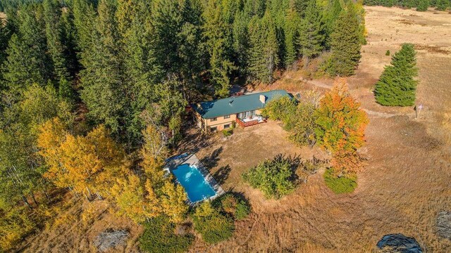 drone / aerial view