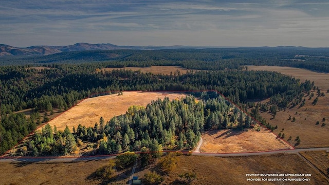 bird's eye view featuring a mountain view and a forest view