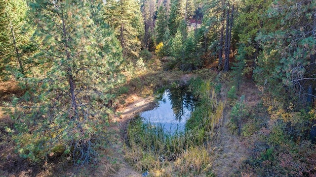 birds eye view of property with a forest view