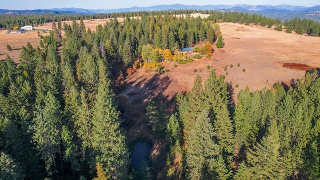 birds eye view of property with a forest view and a mountain view