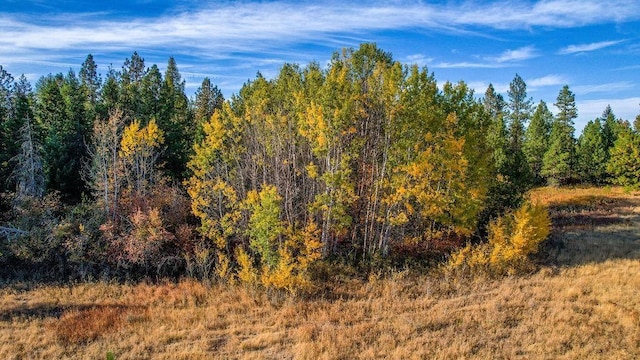 view of local wilderness featuring a forest view