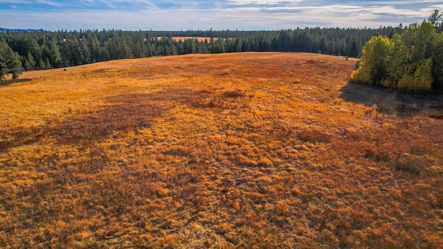 bird's eye view with a view of trees and a rural view