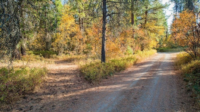 view of road featuring a wooded view