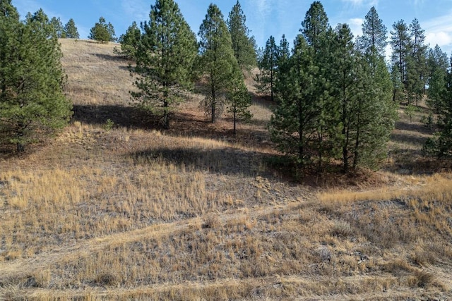 1000 N Christensen Rd, Medical Lake, WA 99022 - photo 17