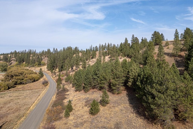 1000 N Christensen Rd, Medical Lake, WA 99022 - photo 20