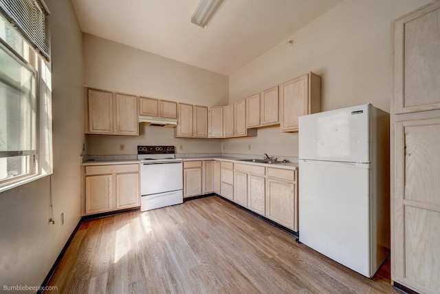 kitchen featuring a healthy amount of sunlight, light hardwood / wood-style flooring, light brown cabinetry, and white appliances