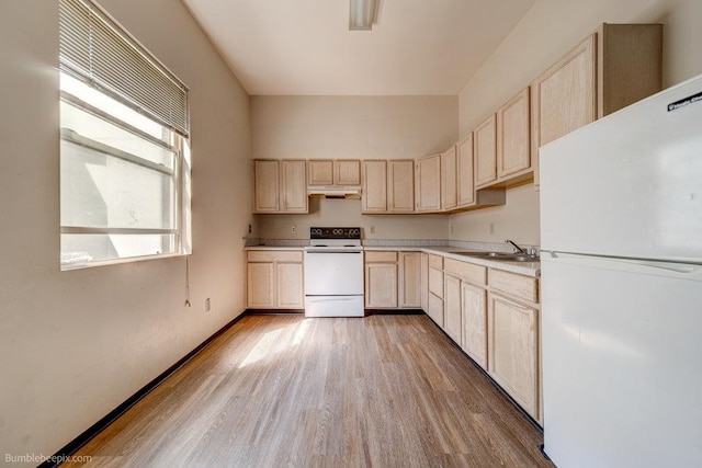 kitchen featuring light brown cabinetry, sink, hardwood / wood-style floors, and white appliances