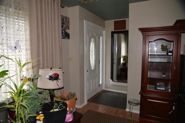 entrance foyer featuring plenty of natural light and dark hardwood / wood-style flooring