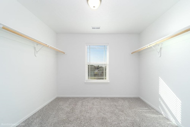 walk in closet featuring carpet flooring