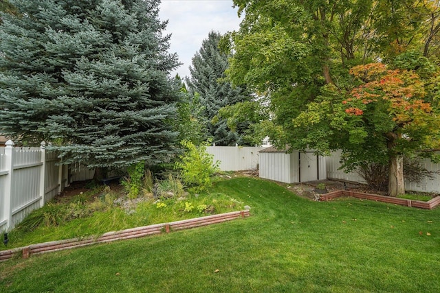 view of yard with a storage shed