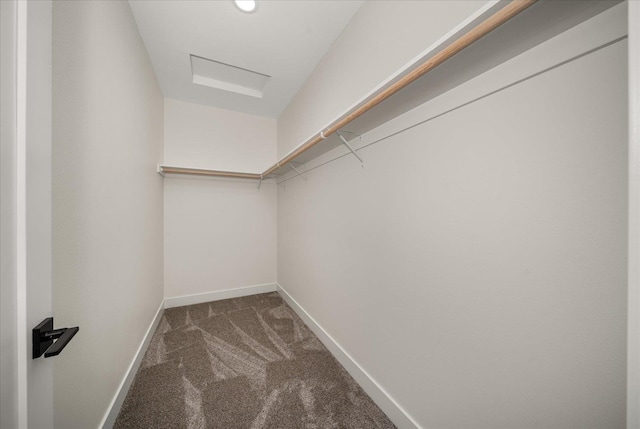 walk in closet with carpet flooring