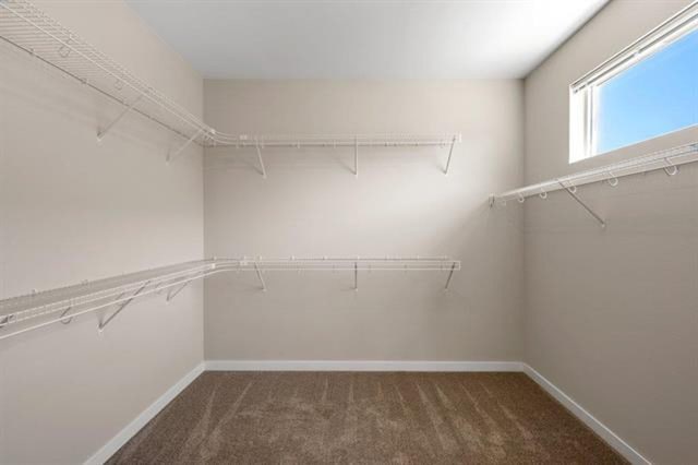 walk in closet with dark carpet