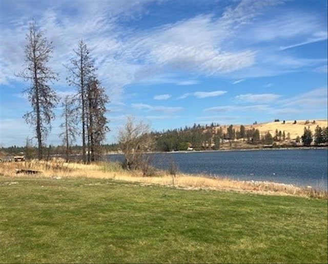 17905 W Lakeview Dr, Medical Lake, WA 99022