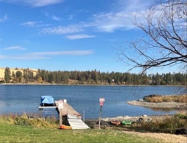 17905 W Lakeview Dr, Medical Lake, WA 99022