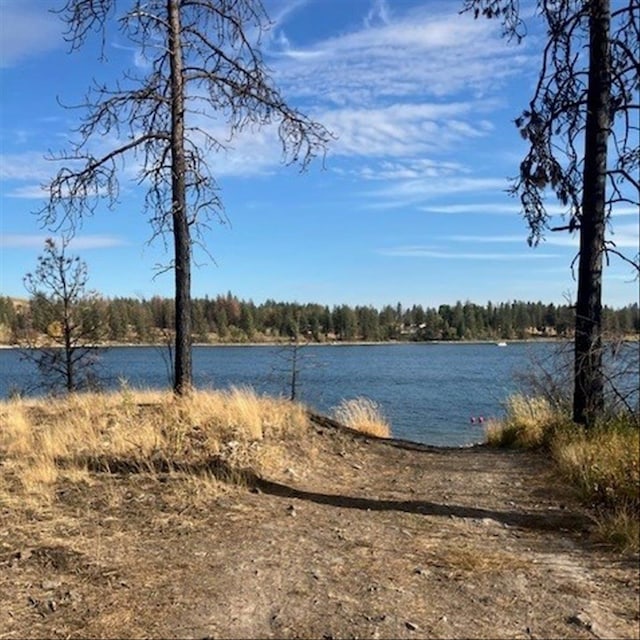 17905 W Lakeview Dr, Medical Lake, WA 99022