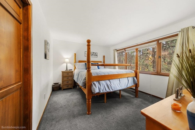 bedroom featuring dark carpet