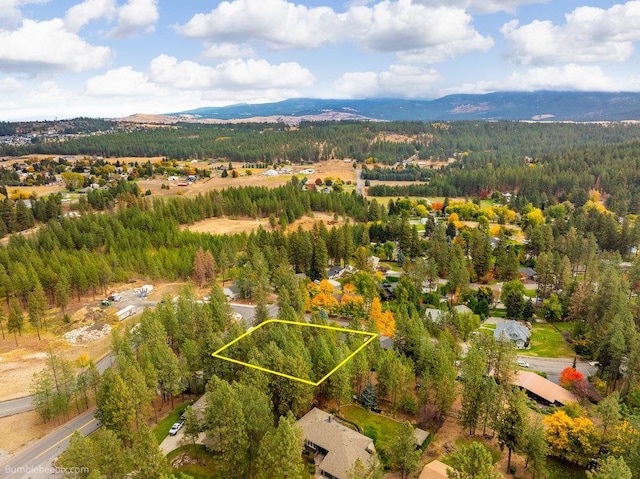 aerial view with a mountain view