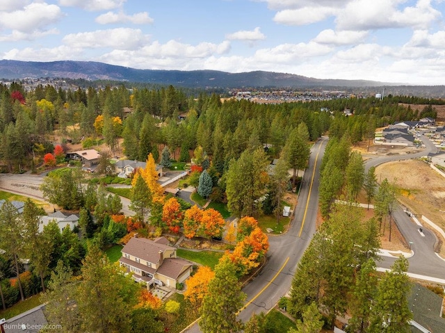 birds eye view of property featuring a mountain view