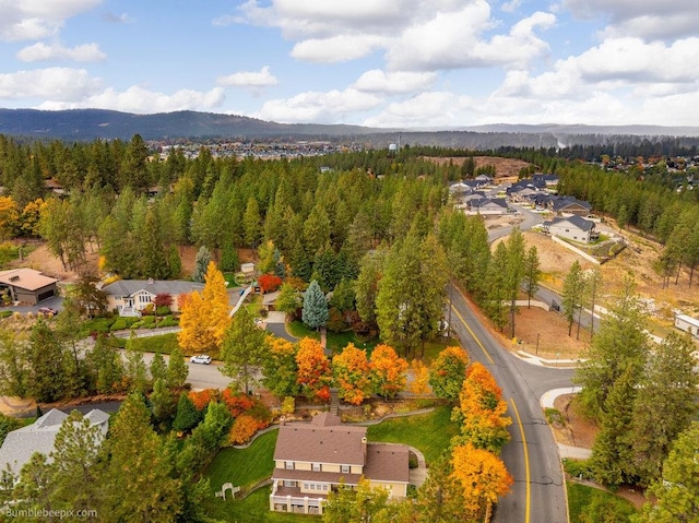 aerial view with a mountain view