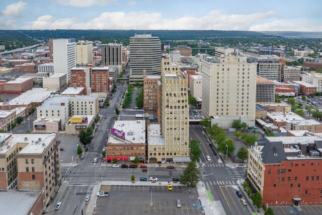 bird's eye view