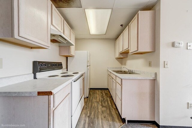 kitchen with light brown cabinets, sink, electric range, premium range hood, and dark hardwood / wood-style flooring