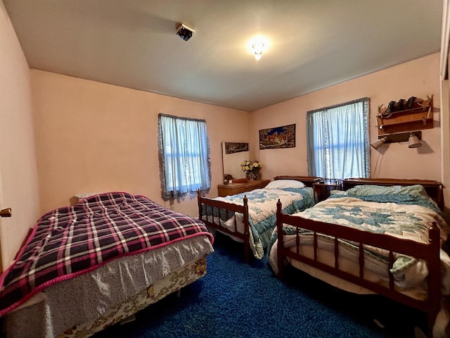 1410 E Sanpoil Rd, Inchelium, WA 99140 - photo 14