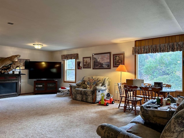 1410 E Sanpoil Rd, Inchelium, WA 99140 - photo 6
