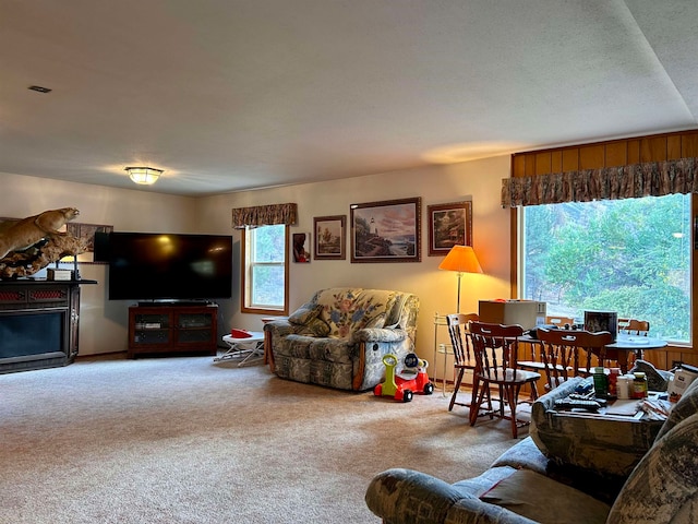 living room with a textured ceiling and carpet flooring