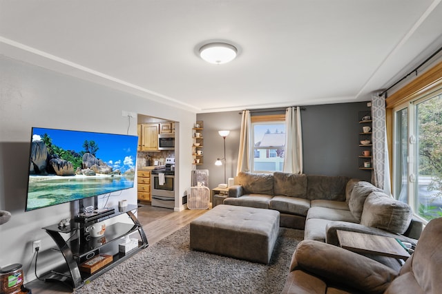 living room featuring light hardwood / wood-style flooring