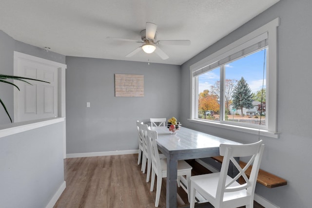 dining room with light hardwood / wood-style floors and ceiling fan